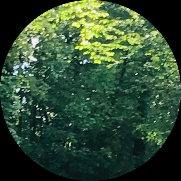 momentum_2022